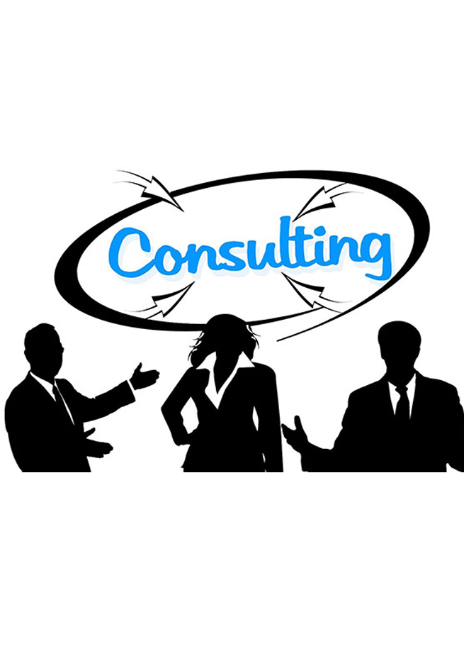 Consultance Informatique